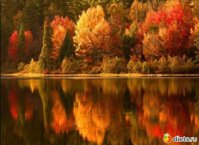 91 ����: �����...