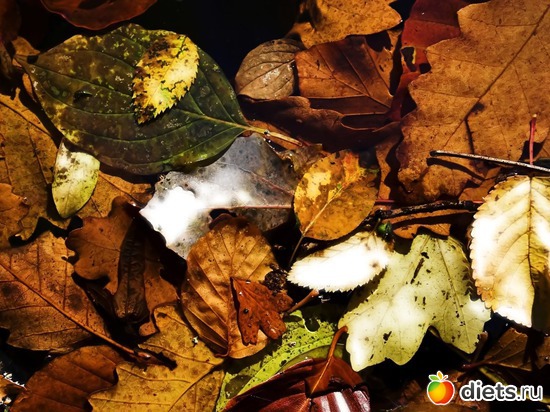 92 ����: �����...