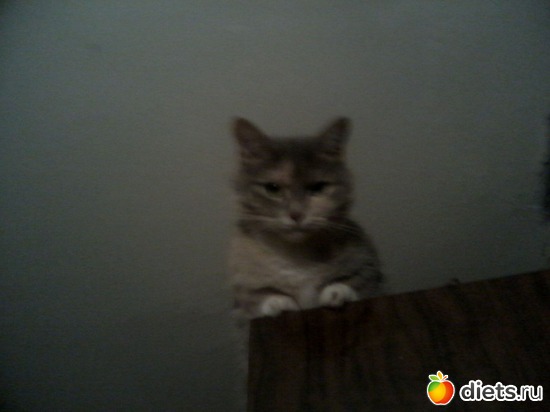 1 ����: ��� ������� ���������.