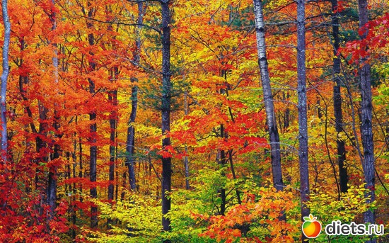 94 ����: �����...