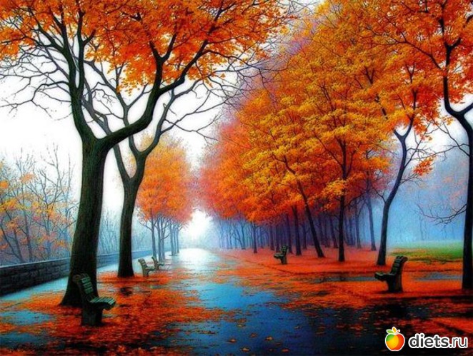 95 ����: �����...