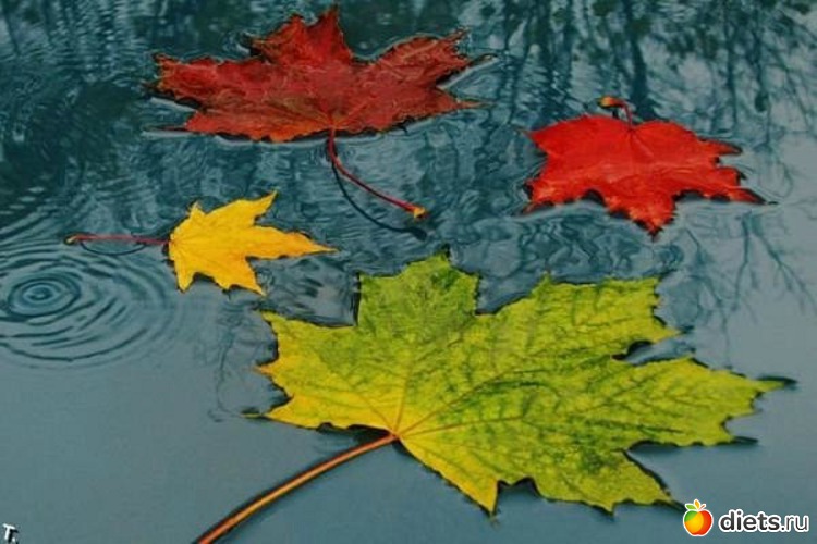 96 ����: �����...