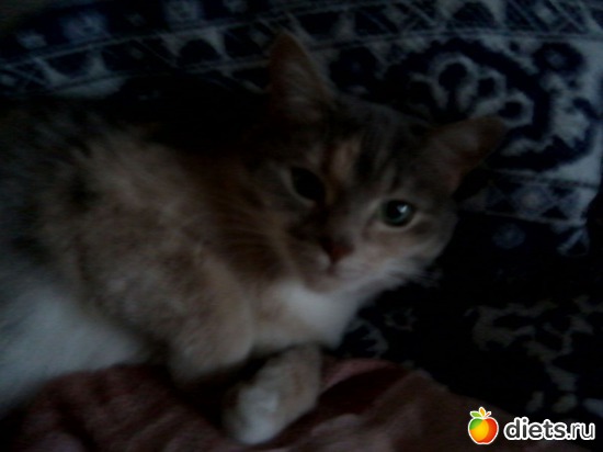 3 ����: ��� ������� ���������.