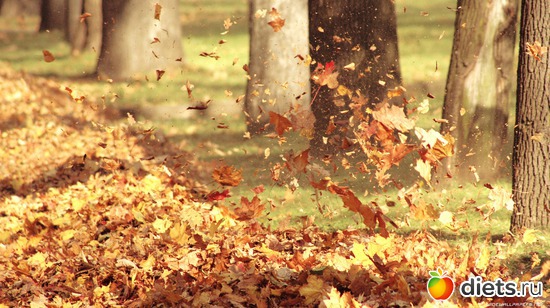 97 ����: �����...