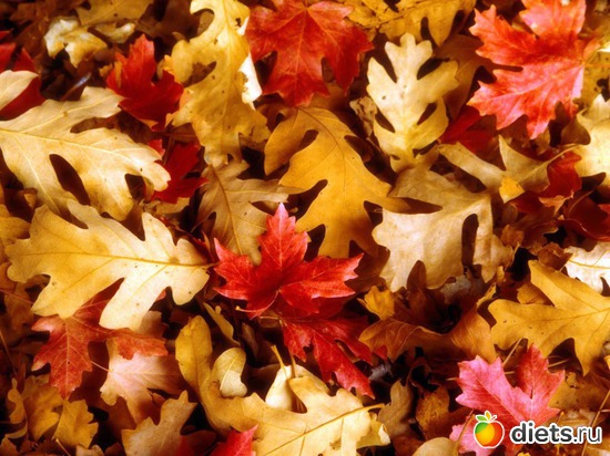 99 ����: �����...