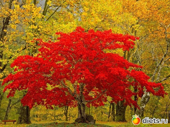 101 ����: �����...