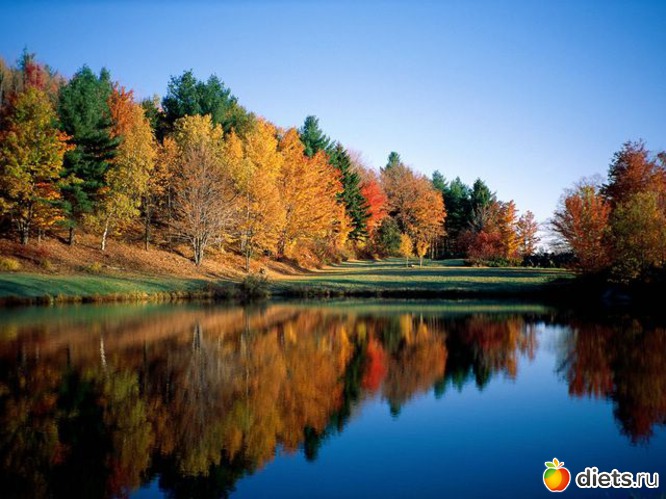 102 ����: �����...