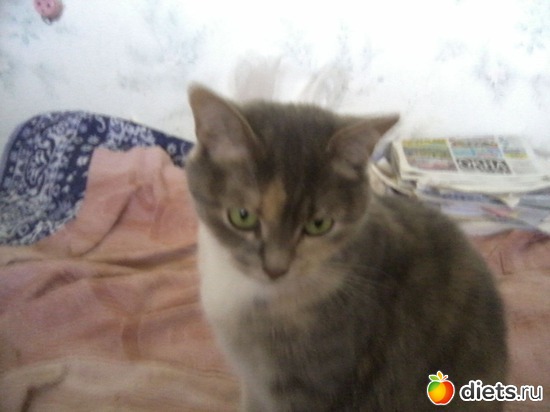 5 ����: ��� ������� ���������.