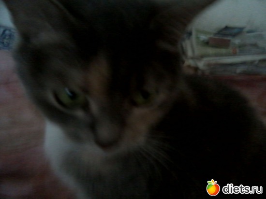 6 ����: ��� ������� ���������.