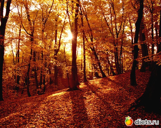 103 ����: �����...