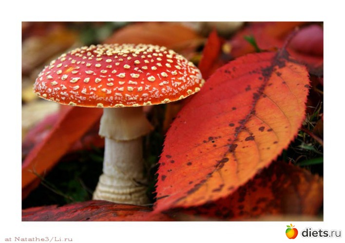 104 ����: �����...