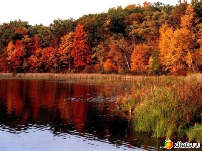 105 ����: �����...