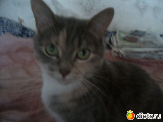 7 ����: ��� ������� ���������.