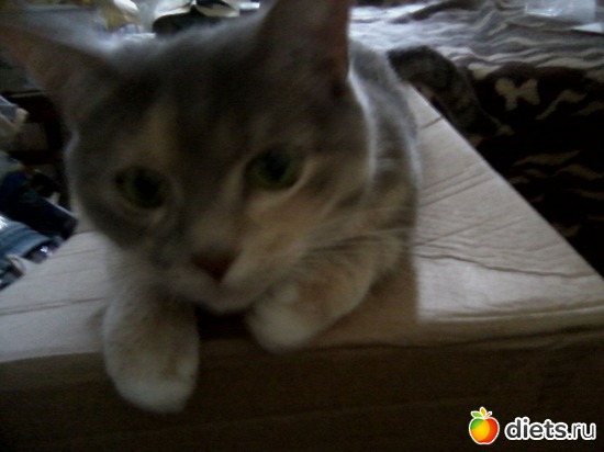 8 ����: ��� ������� ���������.