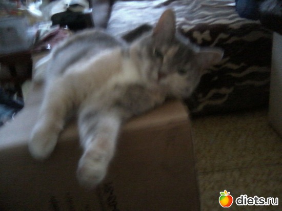 9 ����: ��� ������� ���������.