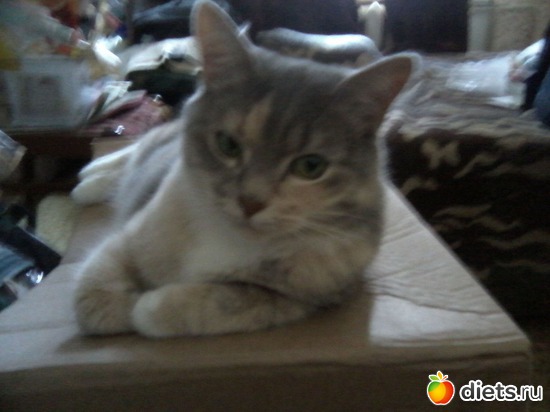 10 ����: ��� ������� ���������.