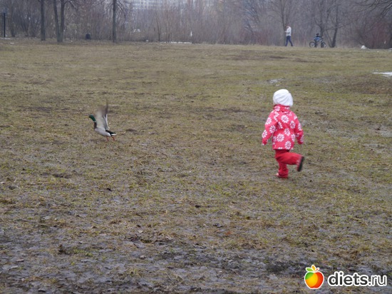 ����� 2012 - ���������� ������� � ����..), ������: ������� ��� �����..))