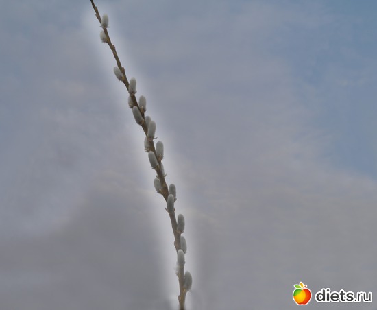 ����� 2012 - ��������, ������ �����..), ������: ������� ��� �����..))