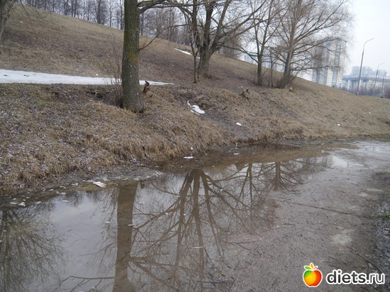 ����� 2012, ������: ������� ��� �����..))