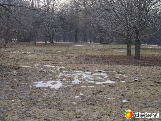 ����� 2012, ������: ������� ��� �����..))