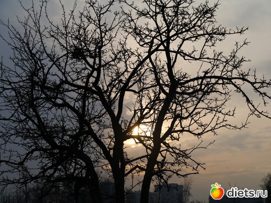 ����� 2012 - �����, ������: ������� ��� �����..))