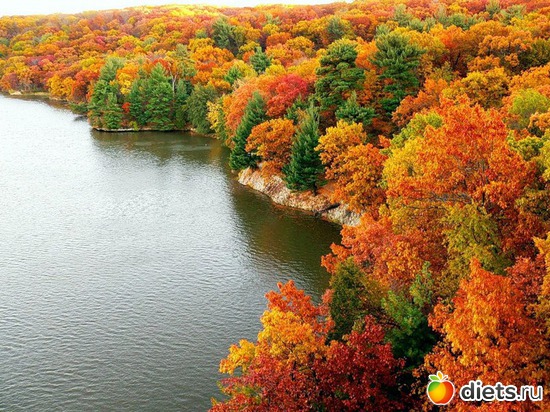 1 ����: �����...