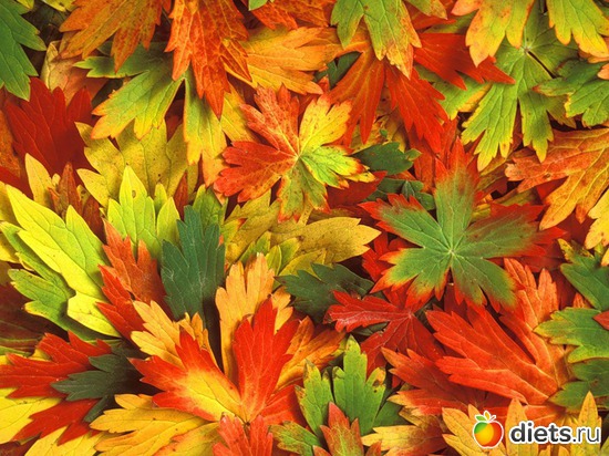 2 ����: �����...