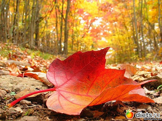 6 ����: �����...