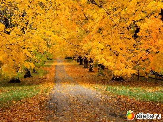 8 ����: �����...