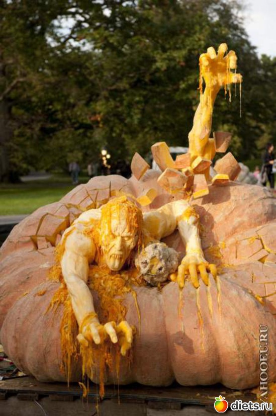 55 ����: ��������