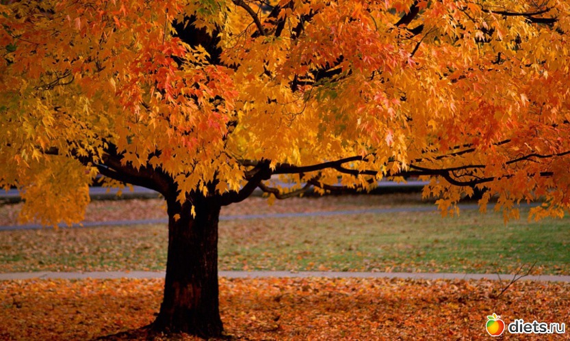 9 ����: �����...