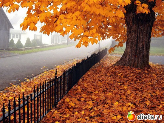 14 ����: �����...