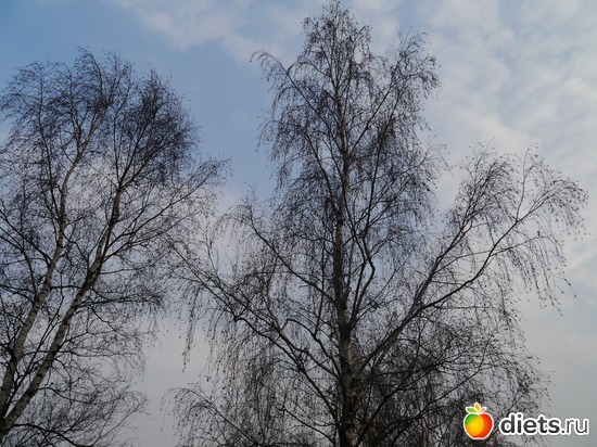 ����� 2012 - ����� ���� �������..), ������: ������� ��� �����..))