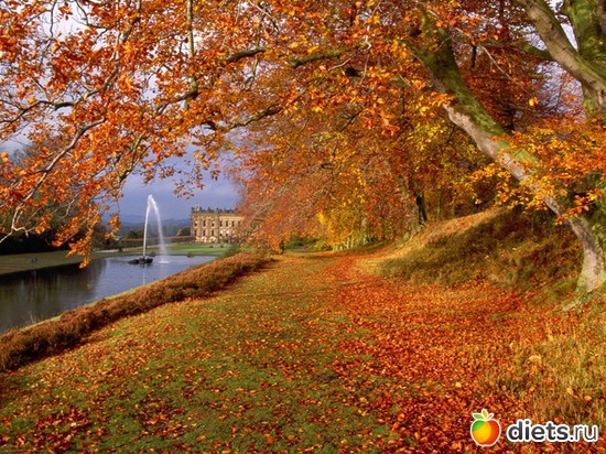 16 ����: �����...