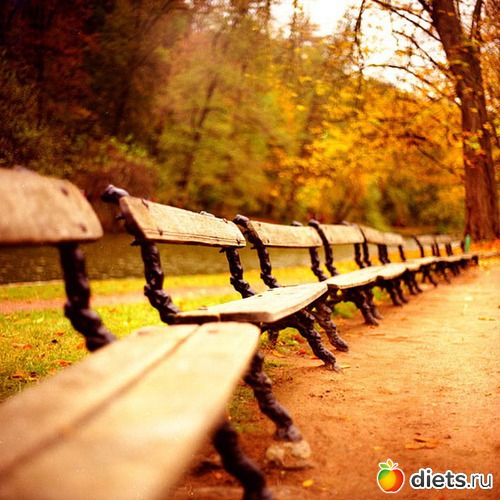 17 ����: �����...