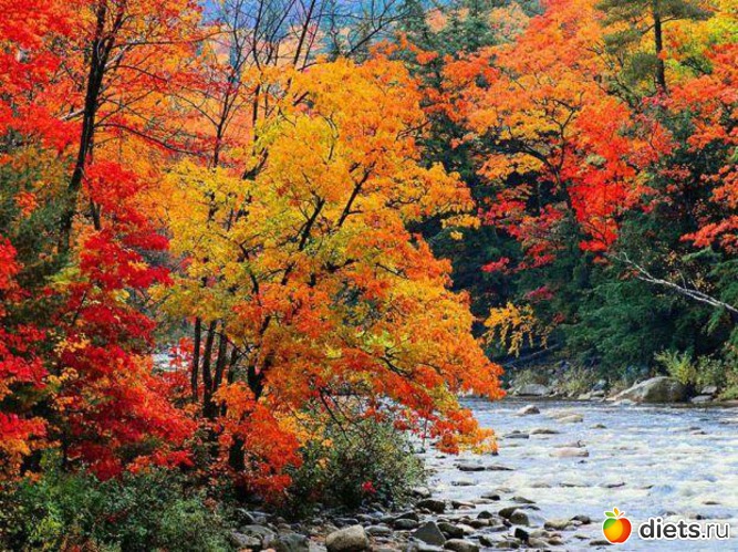 18 ����: �����...