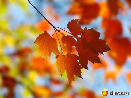 20 ����: �����...