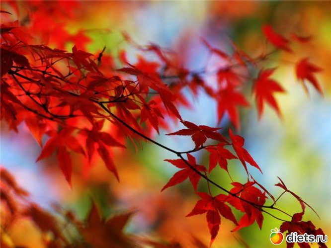 21 ����: �����...