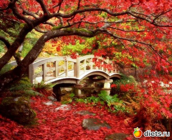 22 ����: �����...