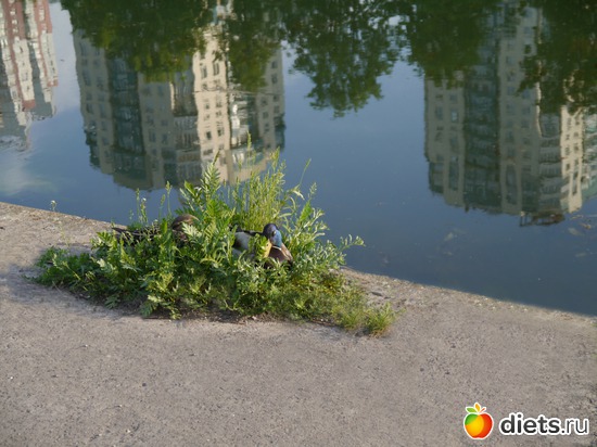 ���� 2012 - ������..), ������: ������� ��� �����..))