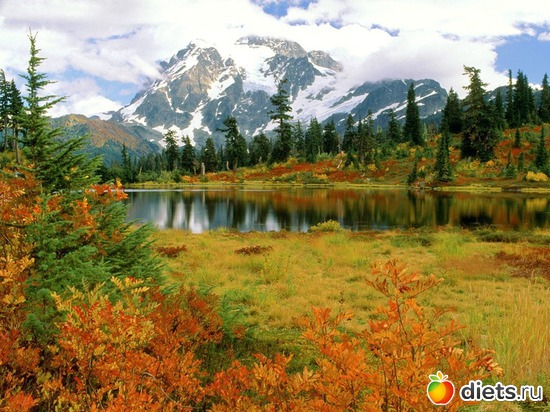 23 ����: �����...