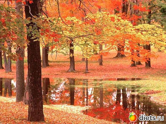 25 ����: �����...