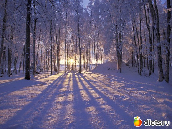 1 ����: ����...