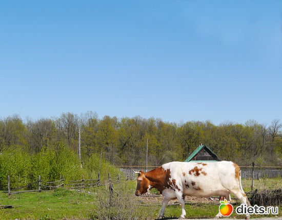 ���� 2012 - ���-�� ������..), ������: ������� ��� �����..))