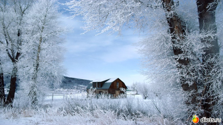 2 ����: ����...