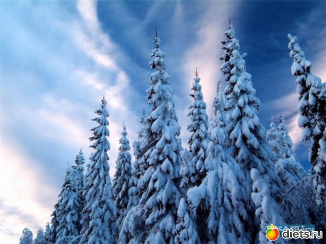 4 ����: ����...