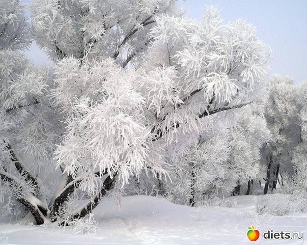 5 ����: ����...