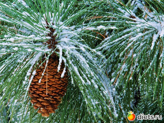 6 ����: ����...