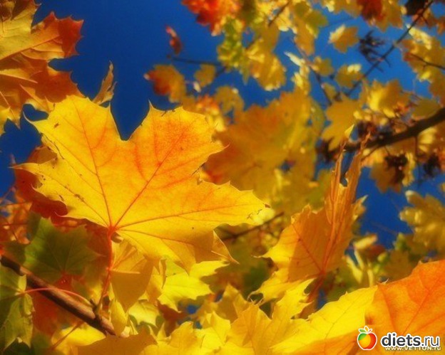 26 ����: �����...