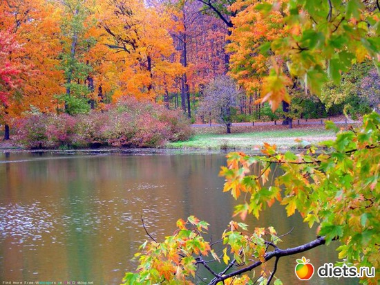 27 ����: �����...